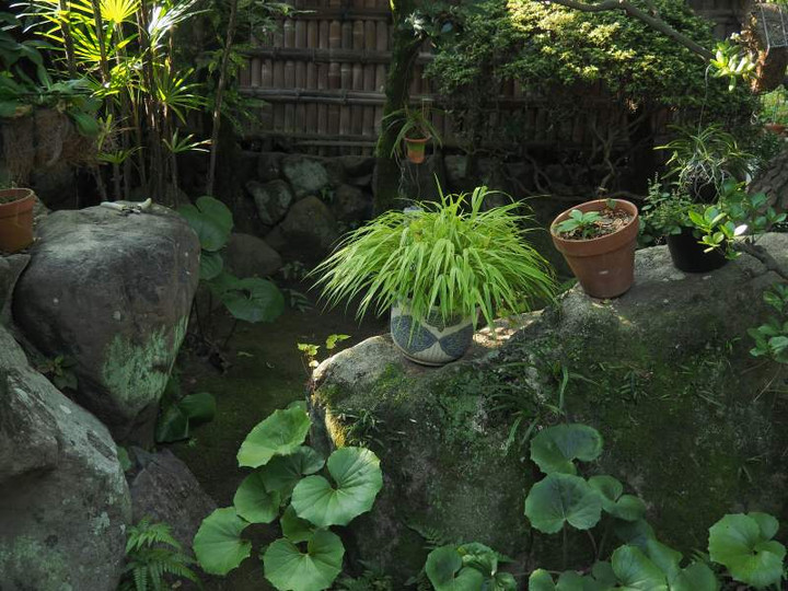 P8300085