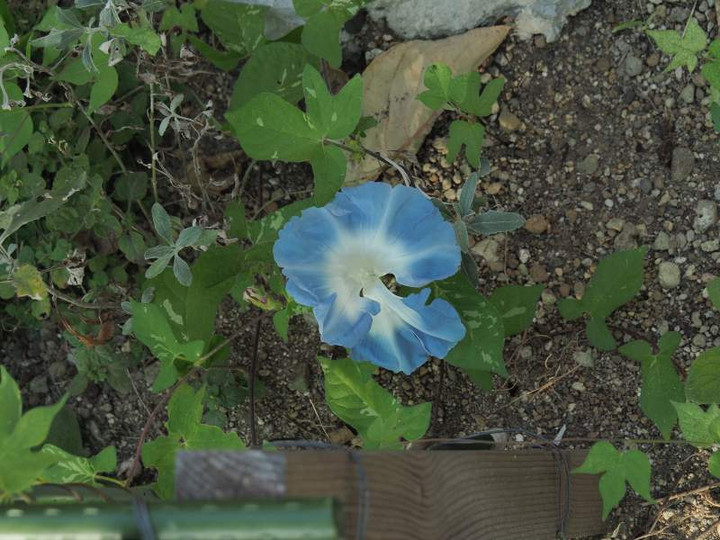 P8310094