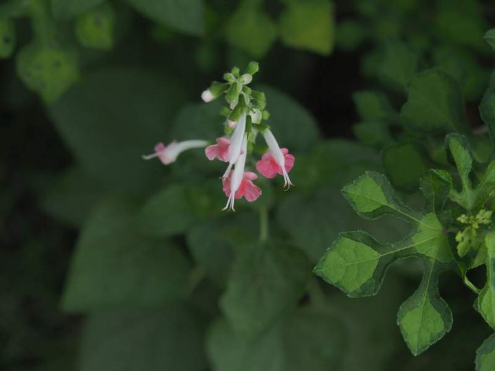 P8310117