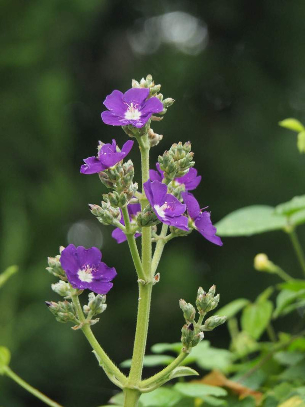 P9010121