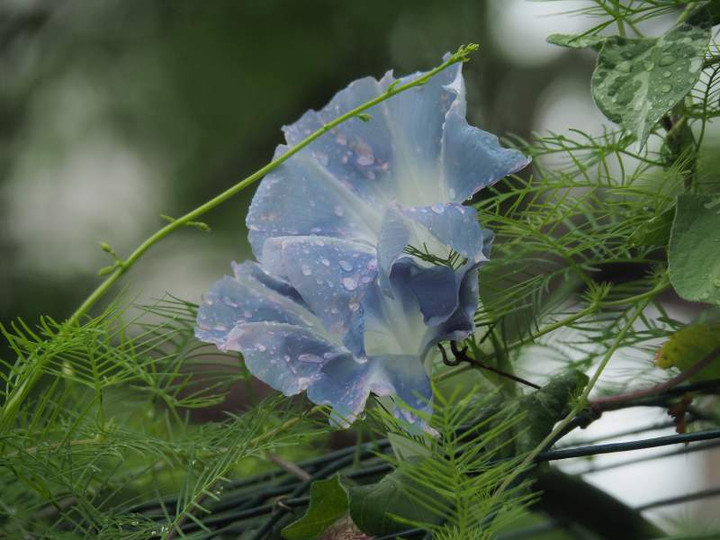P9010130