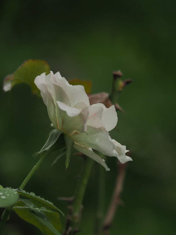P9010137