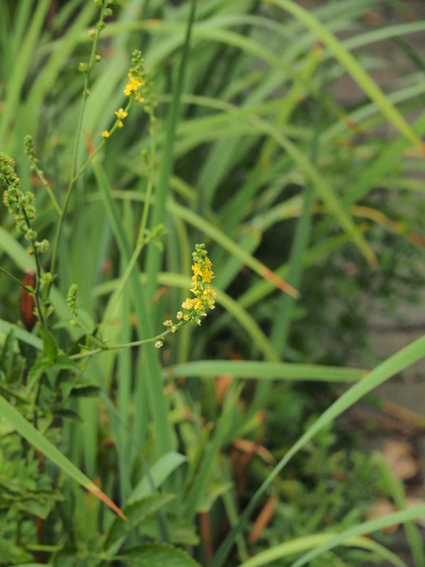 P9010139