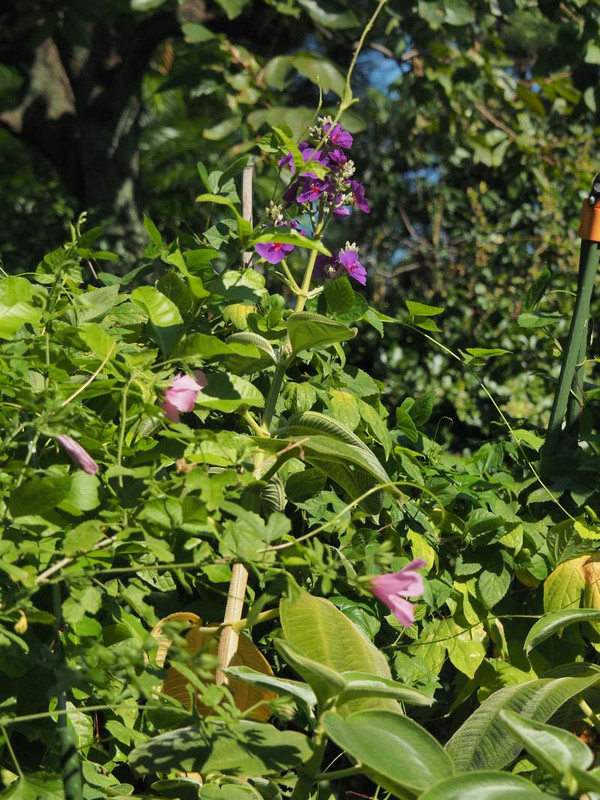 P9030170