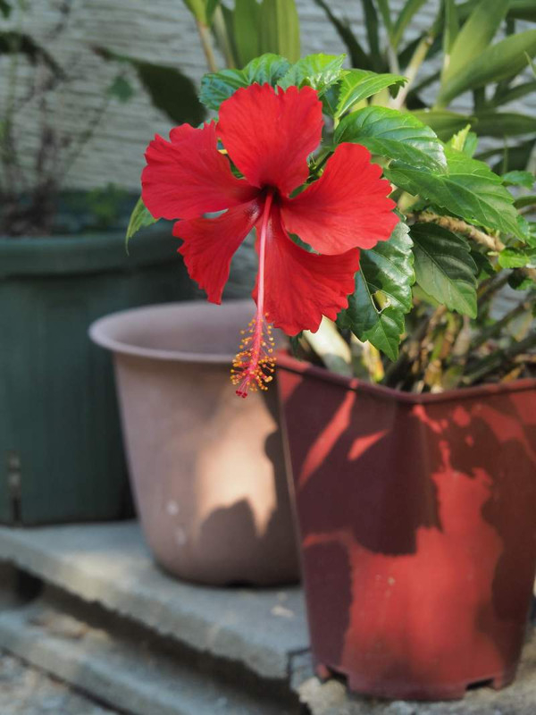 P9030173
