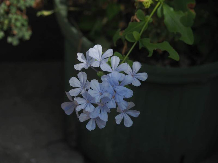 P9050203