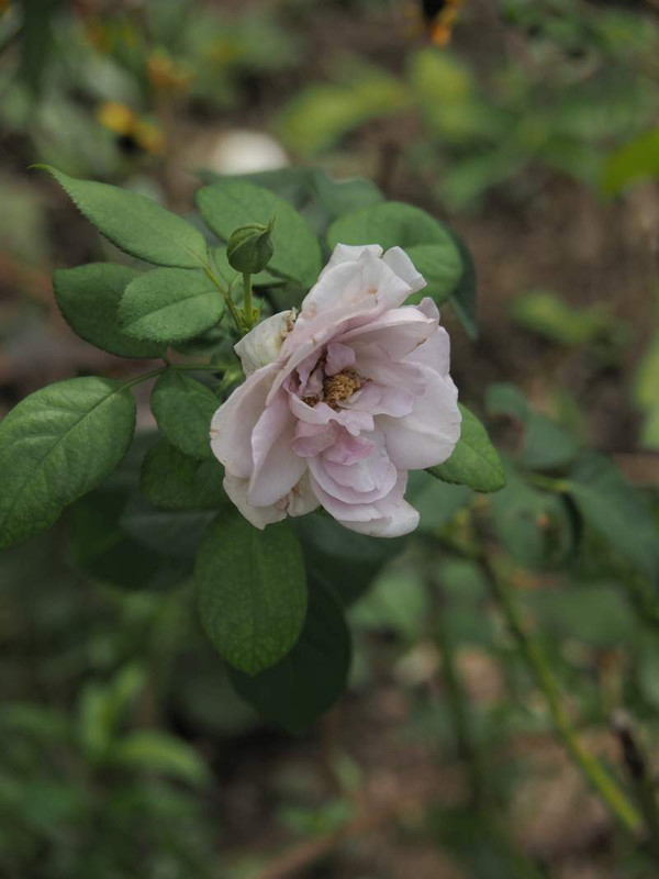 P9060221