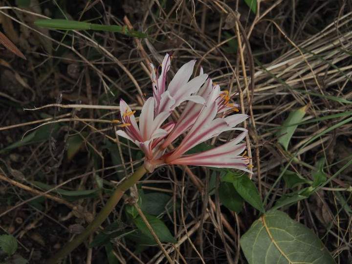 P9070236