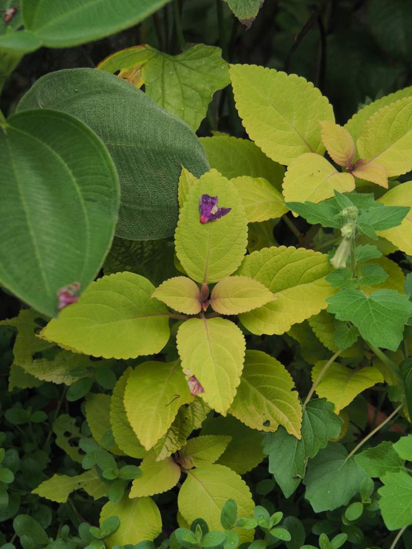 P9100280