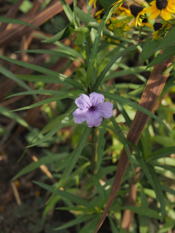 P9110359
