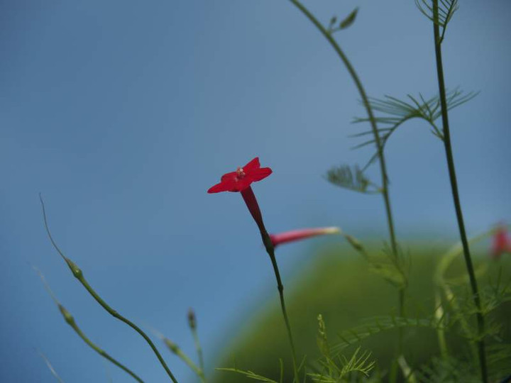P9110372