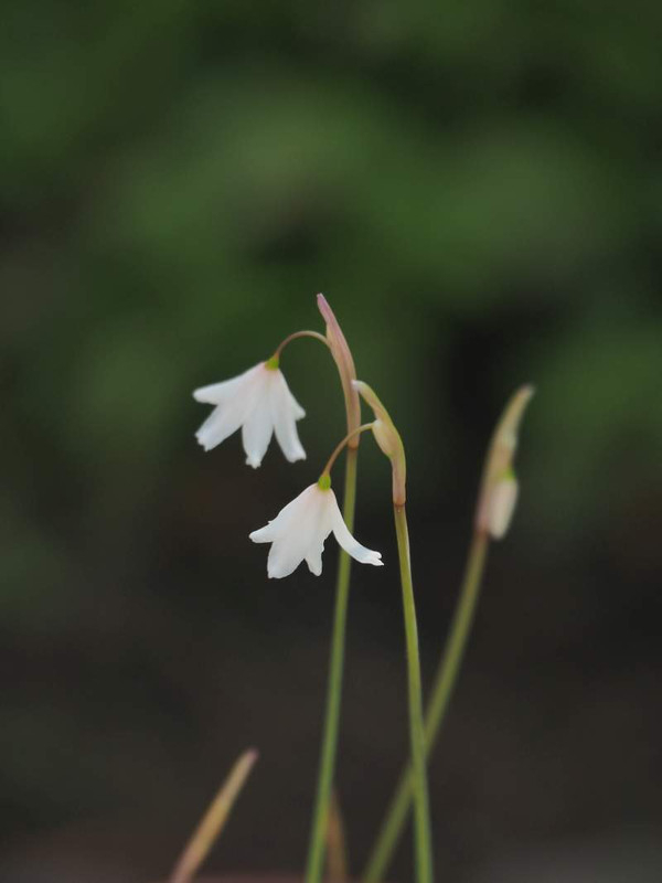 P9110383