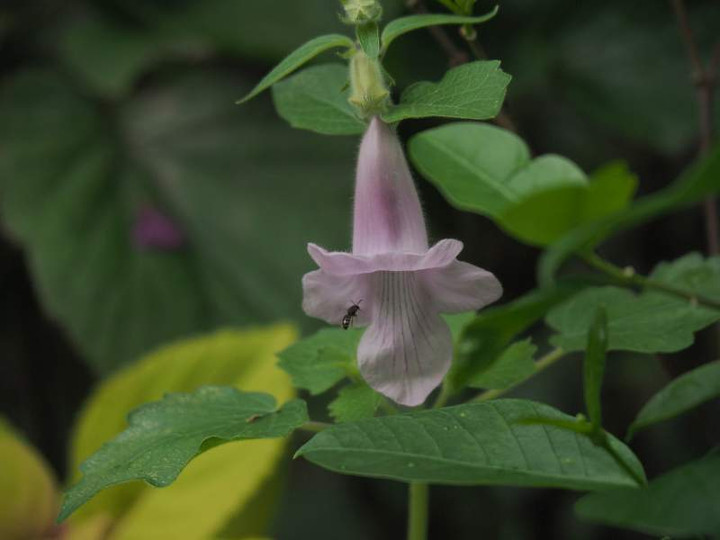 P9120386