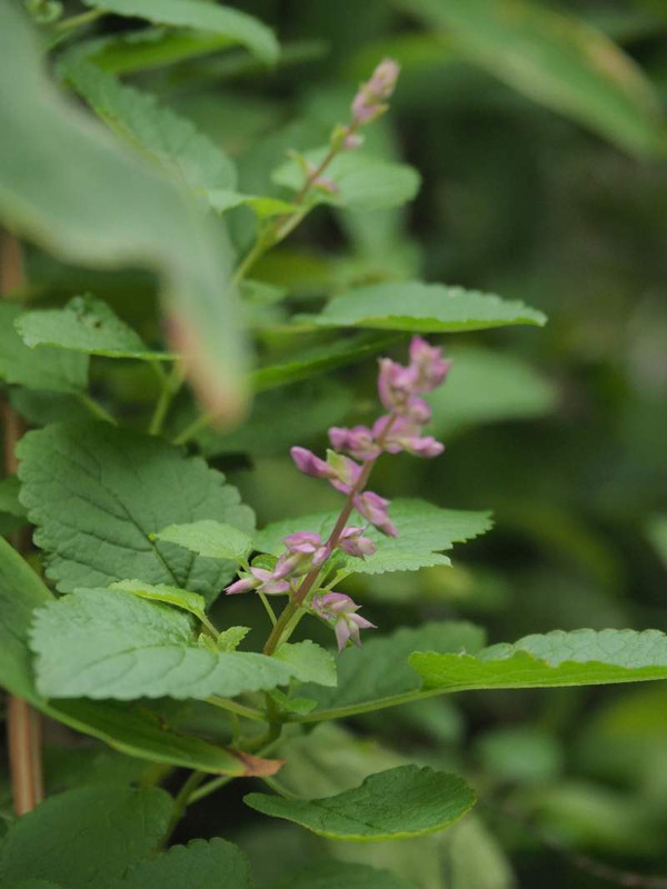 P9120390
