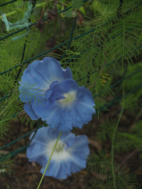 P9120400