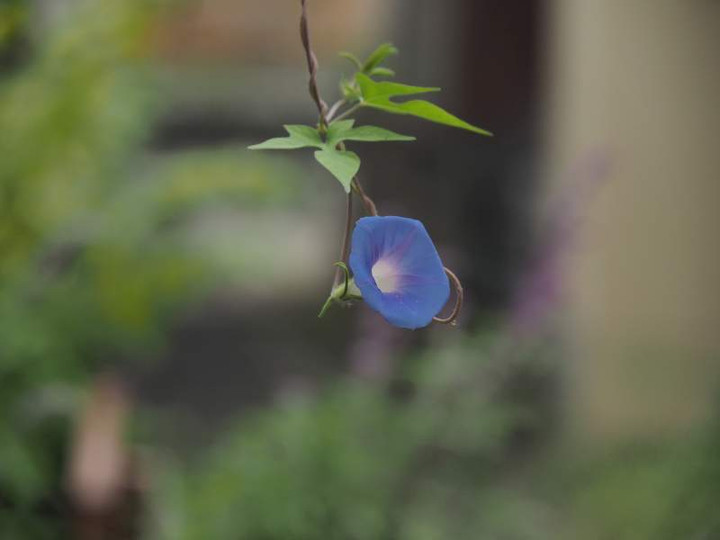 P9120401