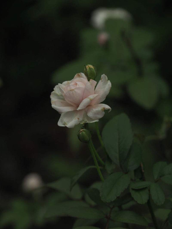 P9120402