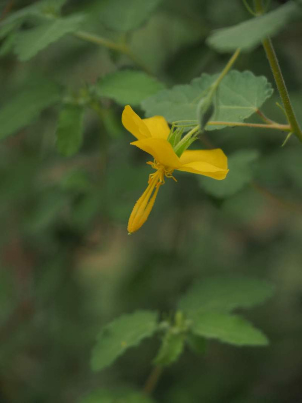 P9120416