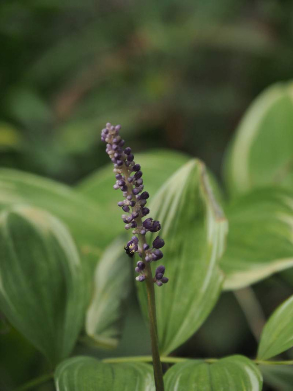 P9130430