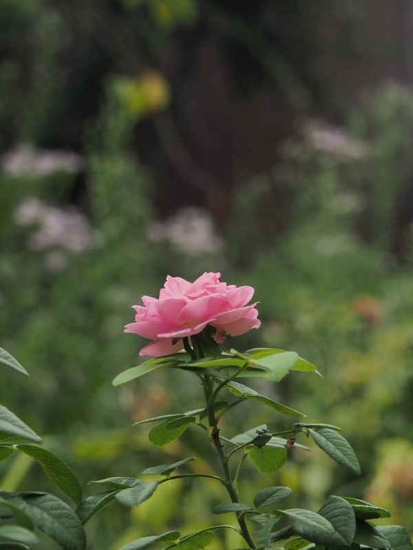 P9130470