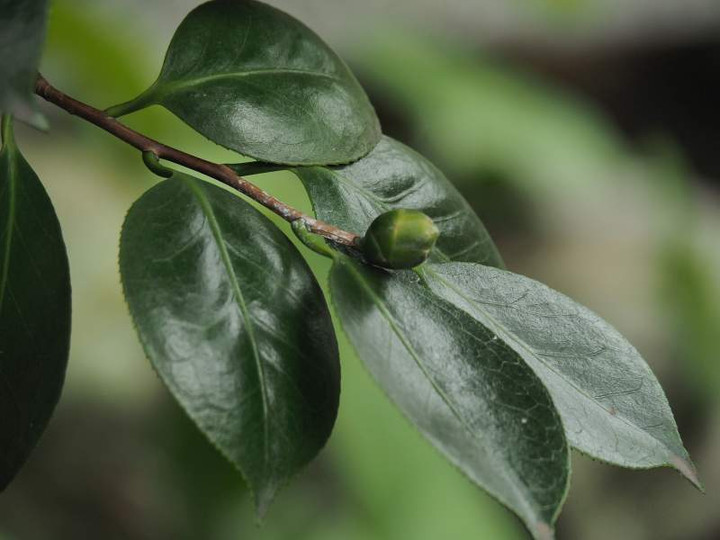 P9130492