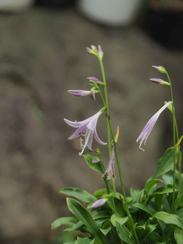 P9140497