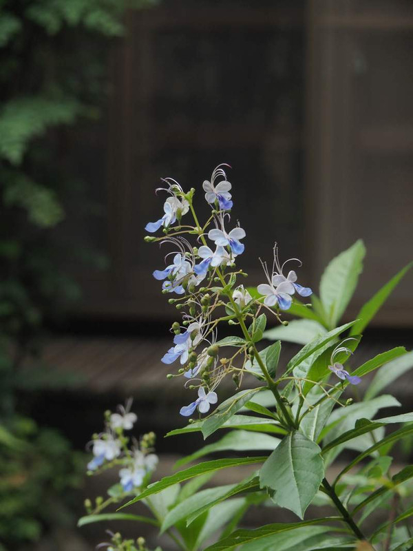 P9140499