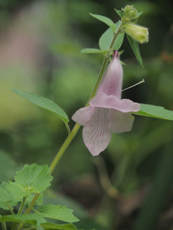 P9150533