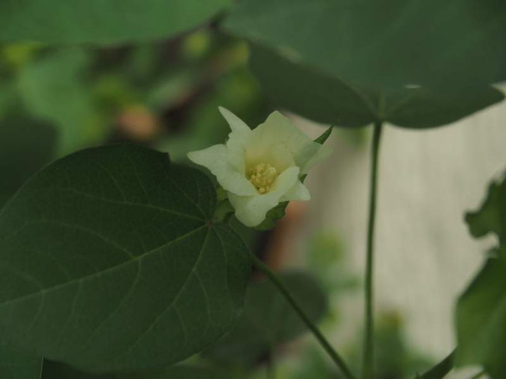 P9150537