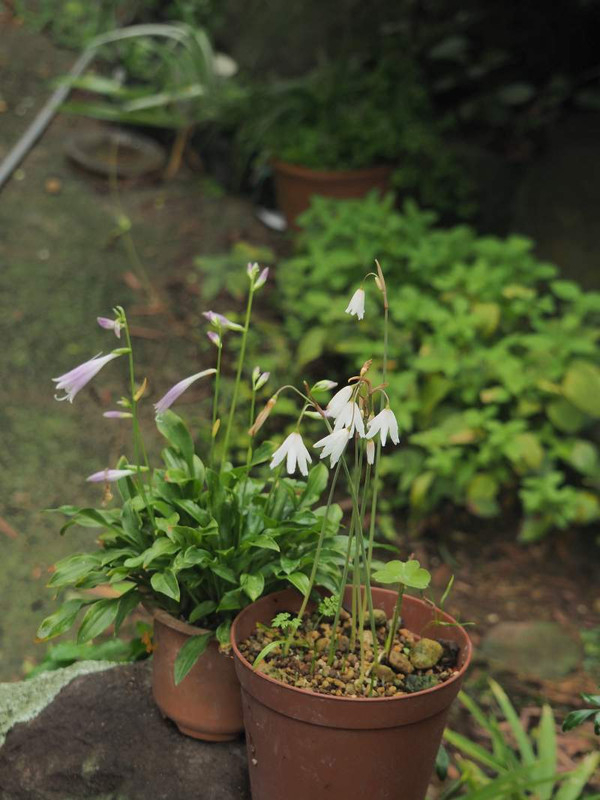 P9150538