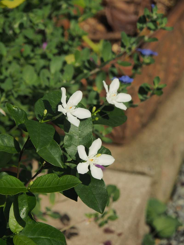 P9170967