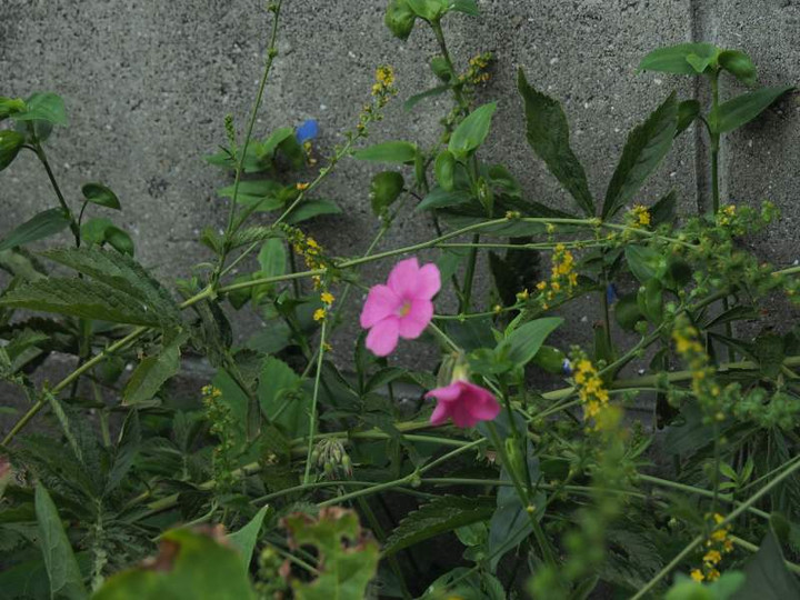P9170969
