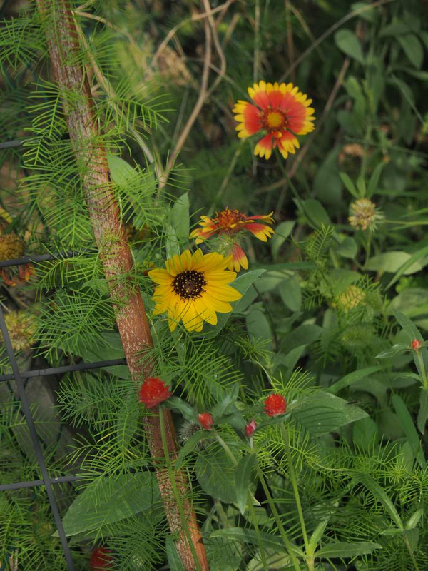 P9170970