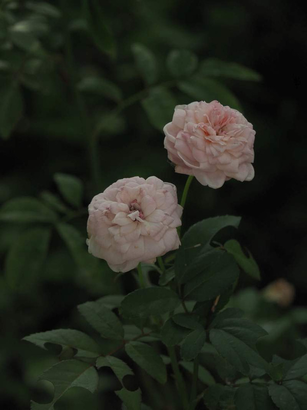 P9170971