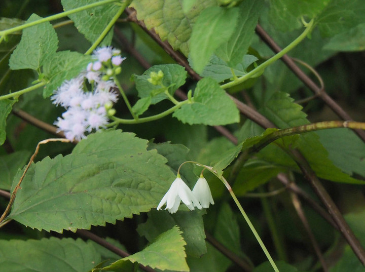P9180997