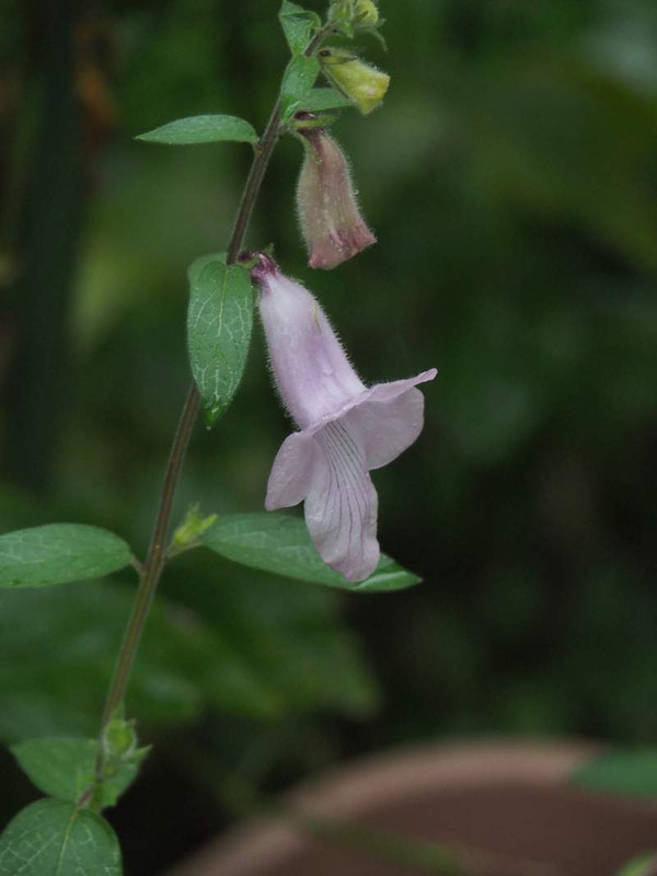 P9201057