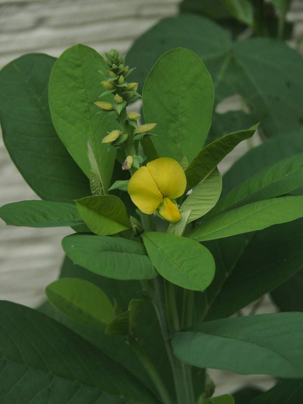 P9201060