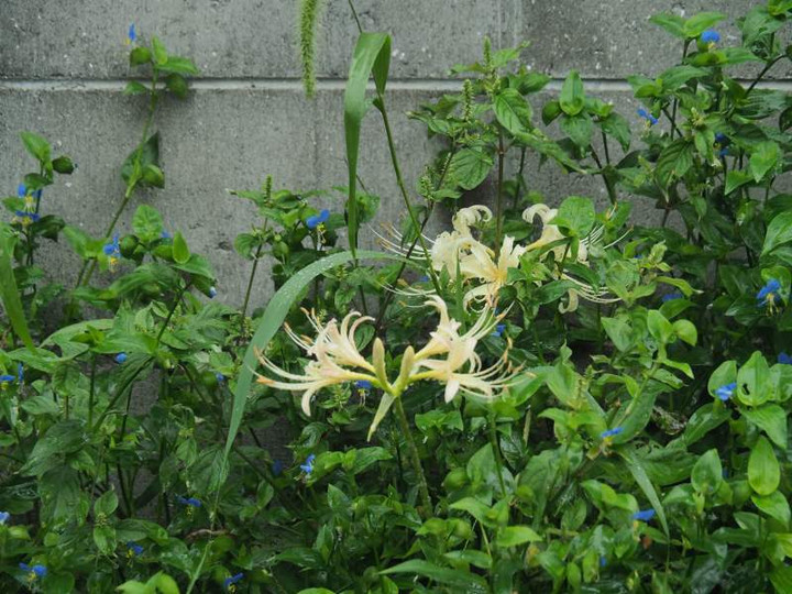 P9201067