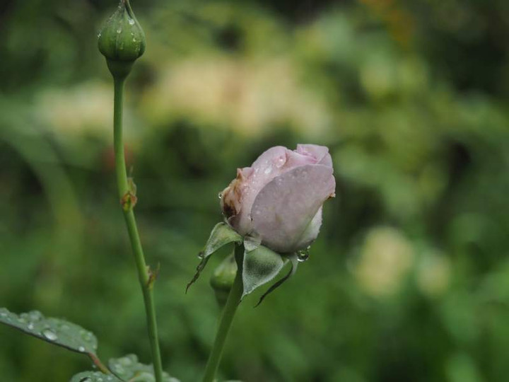 P9201071