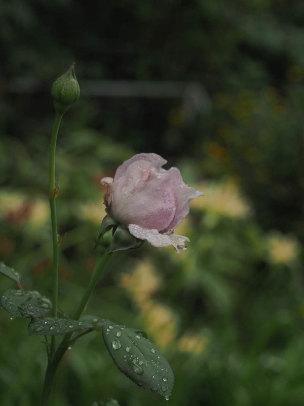 P9211098