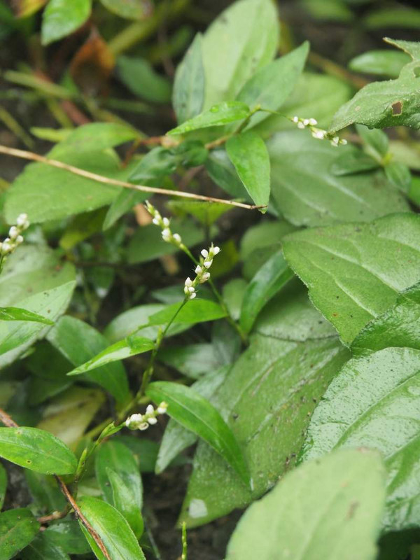P9211106