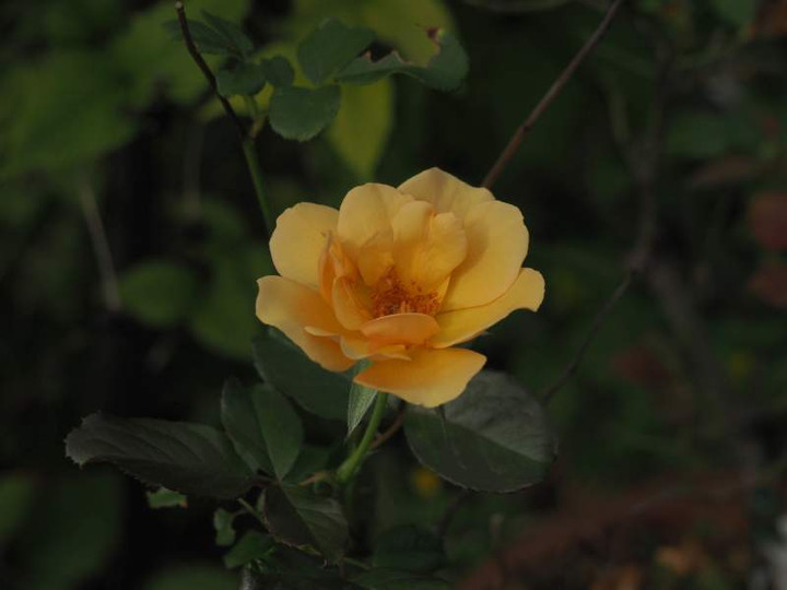 P9231190