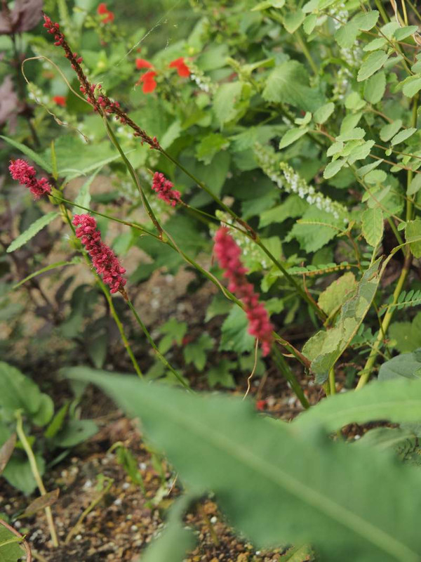 P9231201
