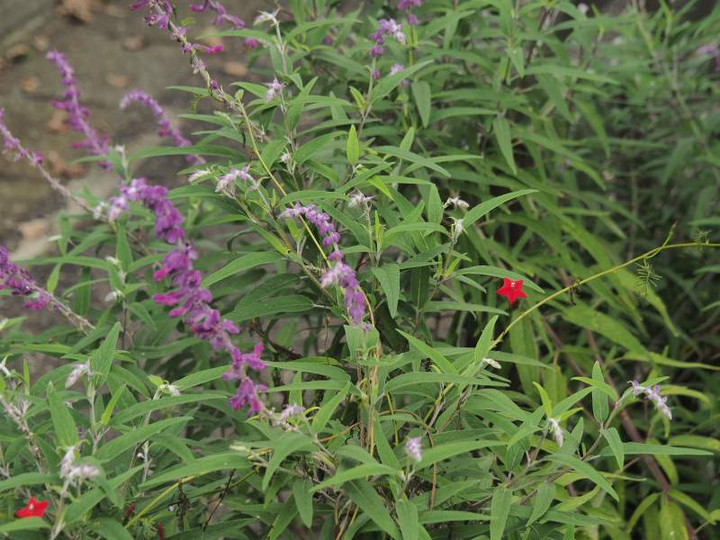P9231204