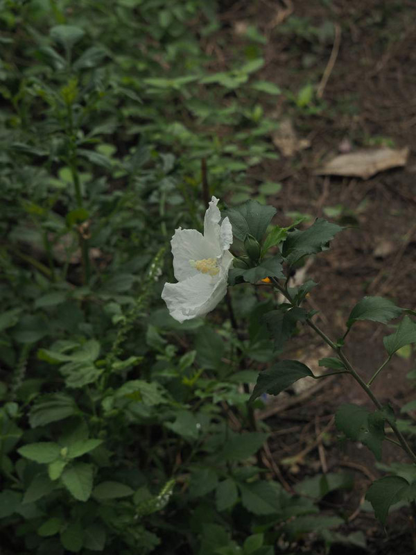 P9231205