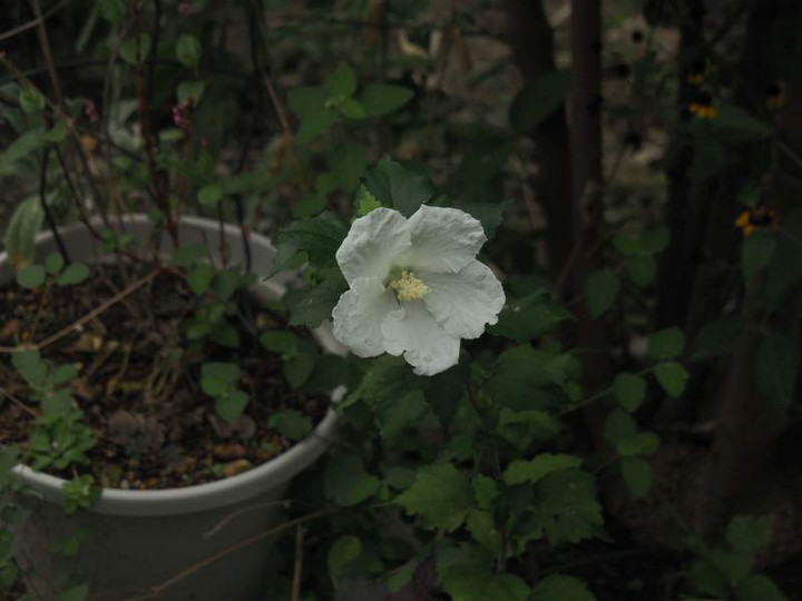 P9231206