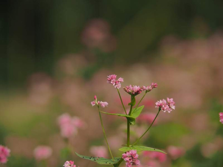 P9231257