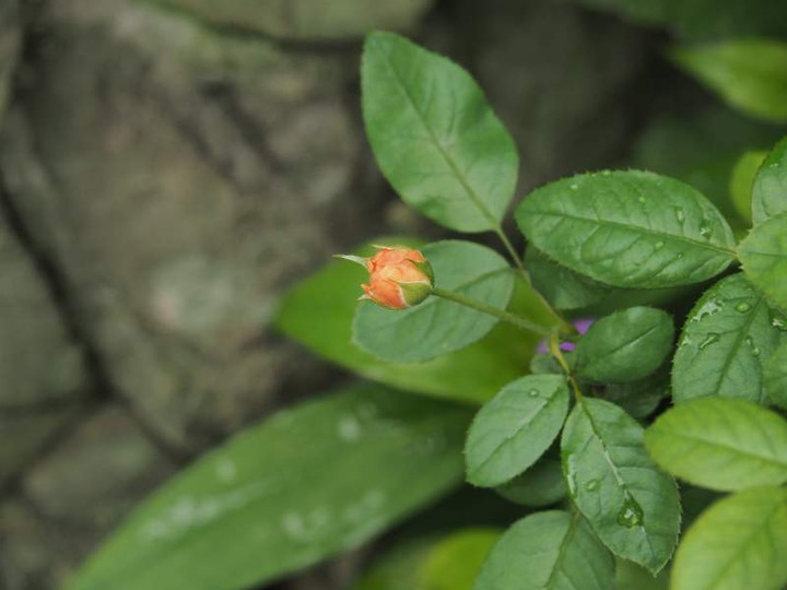 P9251404