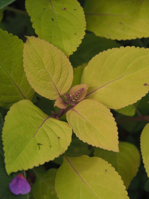 P9251405
