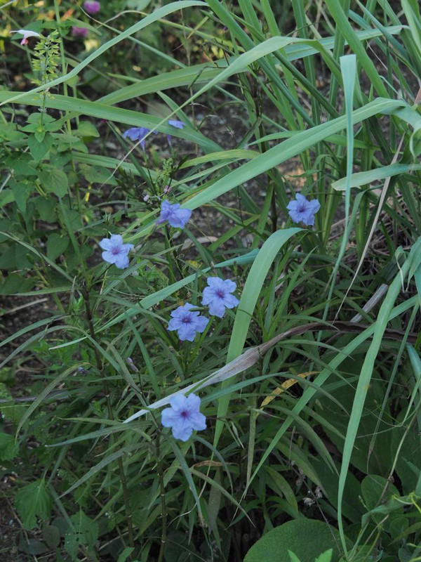 P9281722w